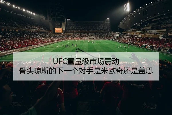 UFC重量级市场震动 骨头琼斯的下一个对手是米欧奇还是盖恩